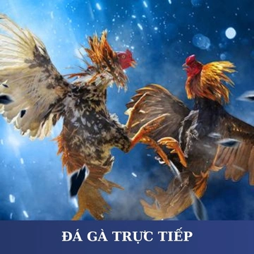 da
